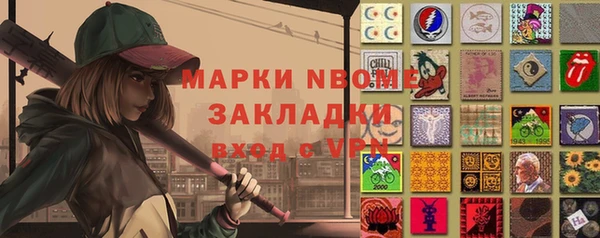 хмурый Липки