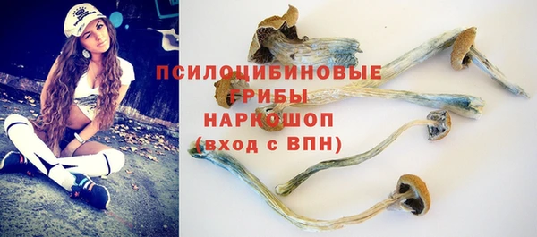 a pvp Майский