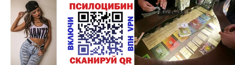 Галлюциногенные грибы Psilocybine cubensis  shop формула  Нальчик  купить  