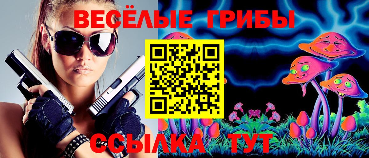 Галлюциногенные грибы Psilocybine cubensis Нальчик