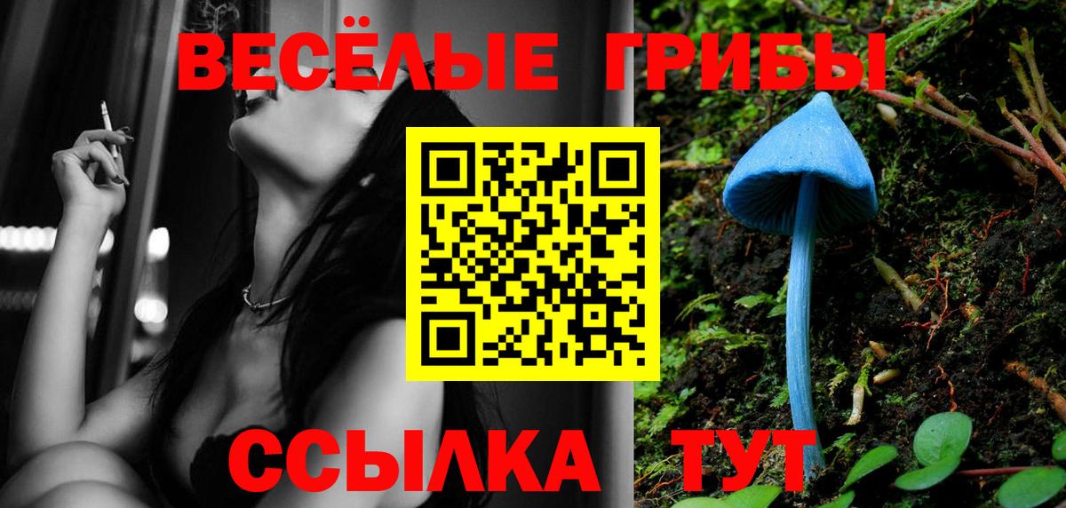 Нальчик  Псилоцибиновые грибы прущие грибы  Вход с VPN 