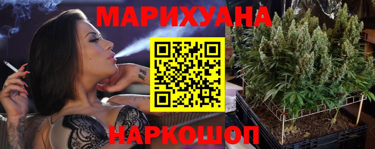 Марихуана гибрид  Бошки Шишки OG Kush  Канабис AK-47  Нальчик  Каннабис сатива 